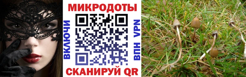 магазин наркотиков Семилуки OMG рабочий сайт Псилоцибиновые грибы Psilocybine cubensis