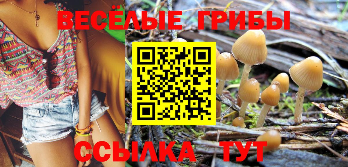 купить   Галлюциногенные грибы прущие грибы  Вход с VPN  Галлюциногенные грибы Magic Shrooms  Семилуки 